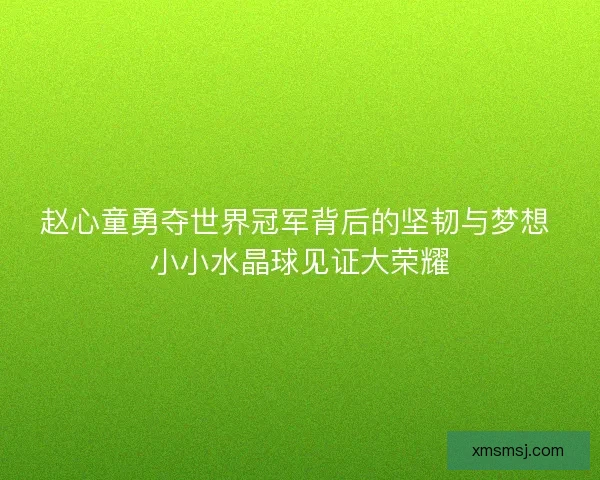 赵心童勇夺世界冠军背后的坚韧与梦想 小小水晶球见证大荣耀